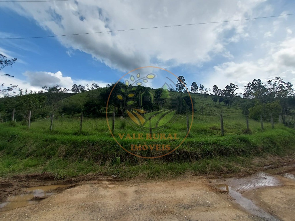 Haras e Área Rural Padrão à venda, 4m² - Foto 5