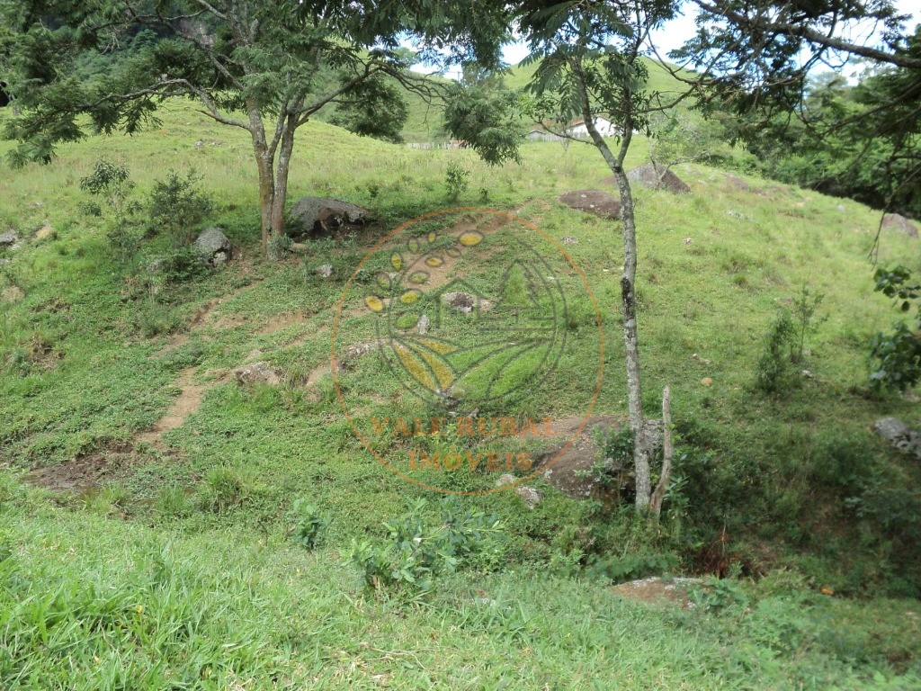 Haras e Área Rural Padrão à venda, 63700m² - Foto 9