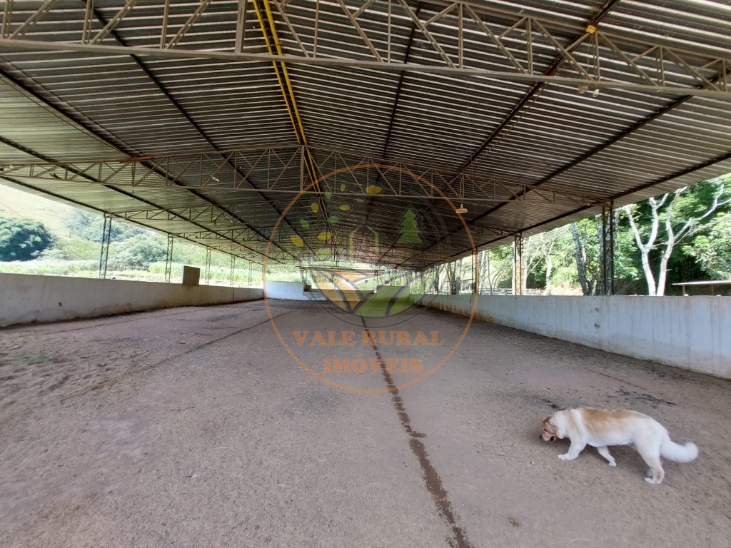 Fazenda à venda com 7 quartos, 33m² - Foto 58