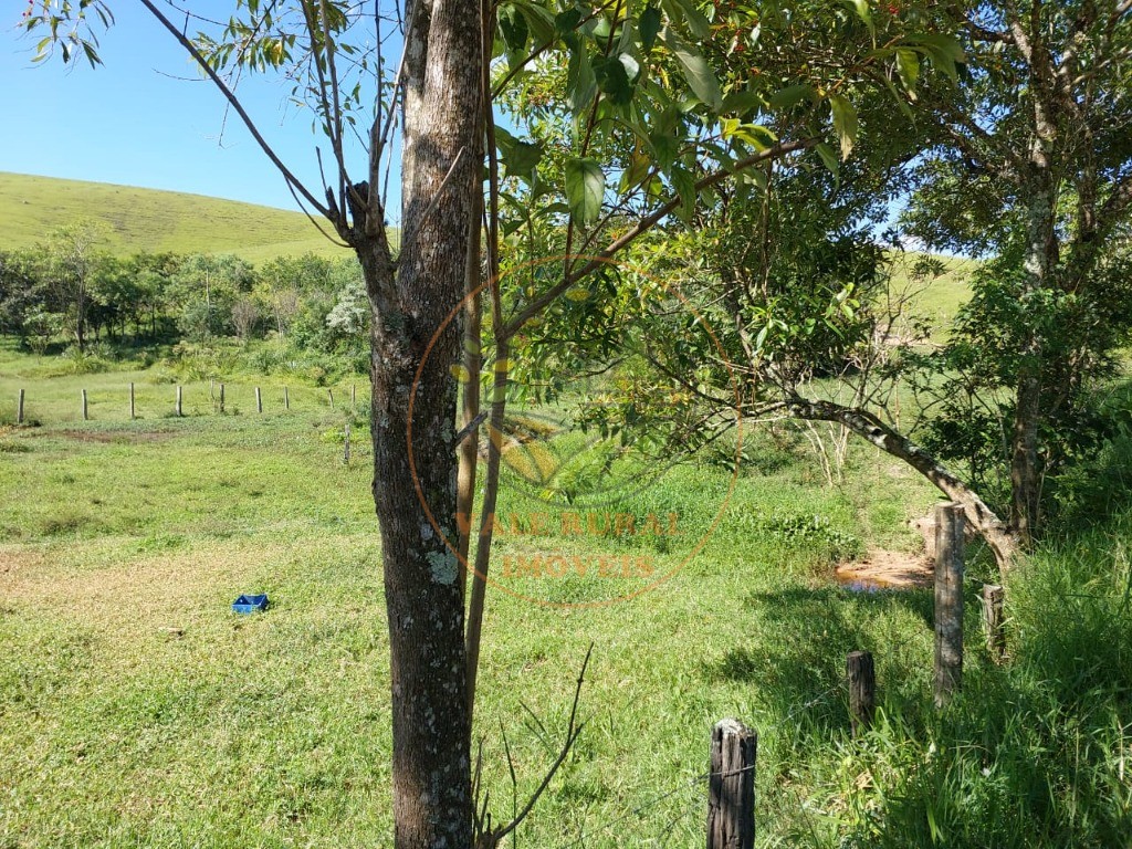 Fazenda à venda com 3 quartos, 30m² - Foto 25