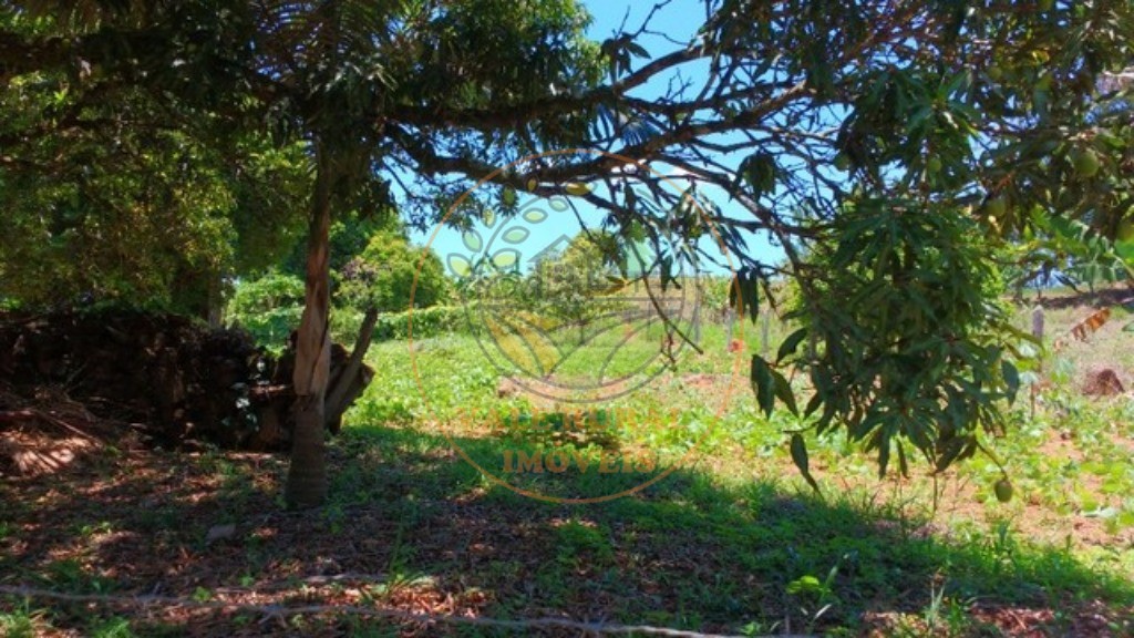 Terreno à venda, 1400m² - Foto 3