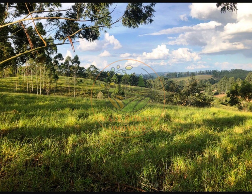 Fazenda à venda com 5 quartos, 176m² - Foto 16