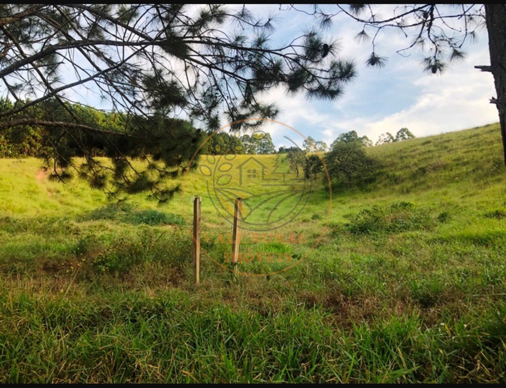 Fazenda à venda com 5 quartos, 176m² - Foto 30