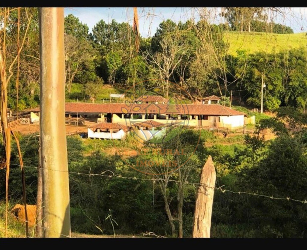 Fazenda à venda com 5 quartos, 176m² - Foto 3