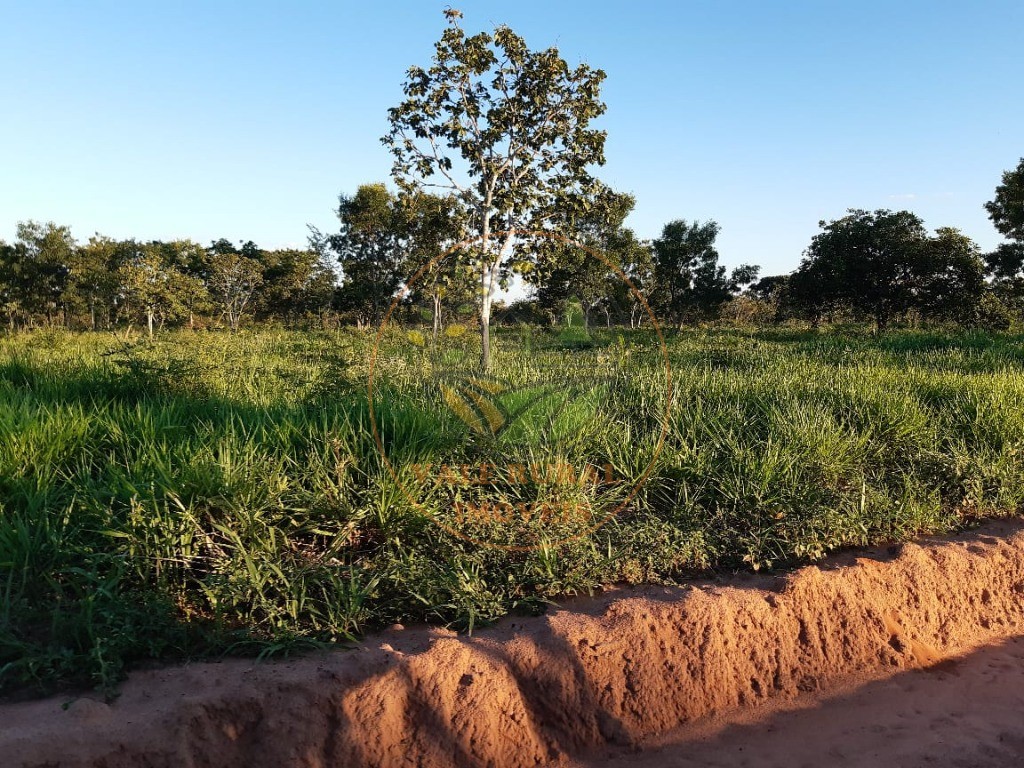 Fazenda à venda com 10 quartos, 3300m² - Foto 11