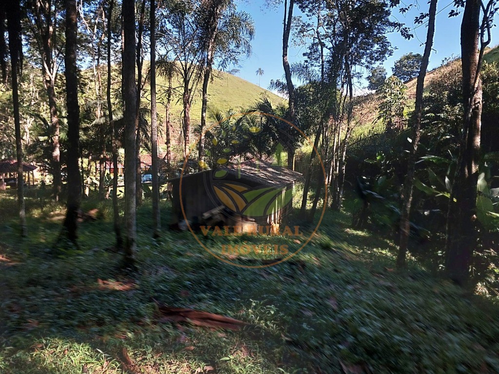 Chácara à venda com 5 quartos, 30000m² - Foto 26