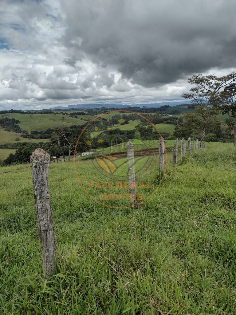 Fazenda à venda com 3 quartos, 242m² - Foto 49