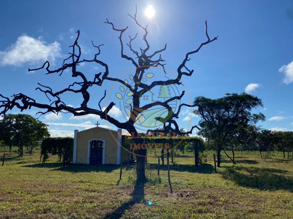 Fazenda à venda com 10 quartos, 3300m² - Foto 7