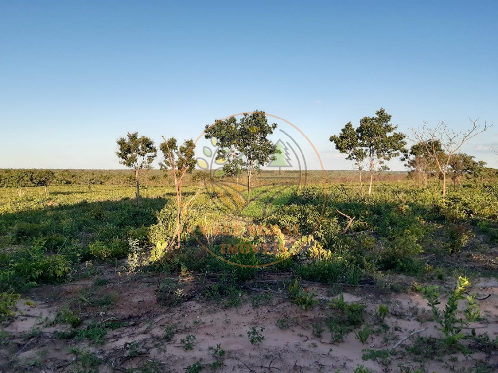 Fazenda à venda com 10 quartos, 3300m² - Foto 16