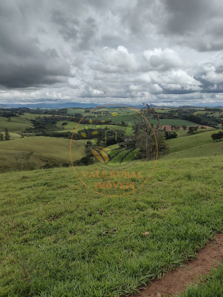 Fazenda à venda com 3 quartos, 242m² - Foto 42