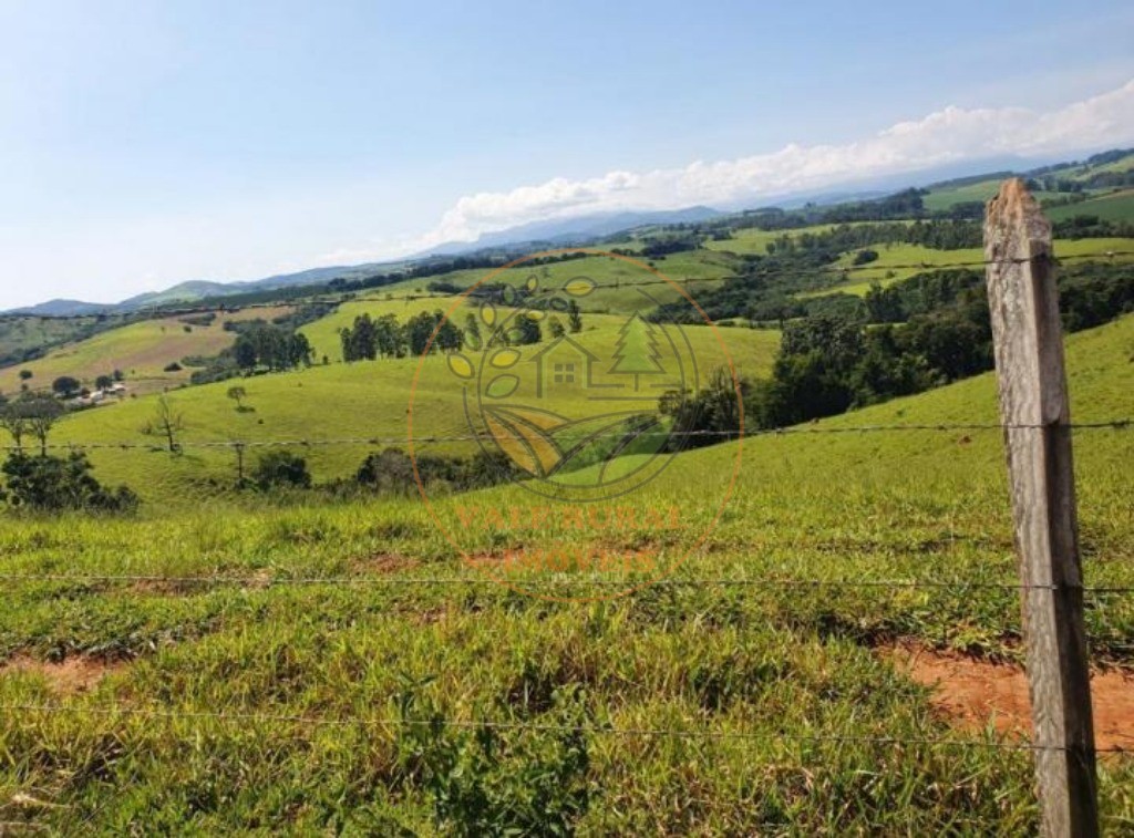 Fazenda à venda com 3 quartos, 242m² - Foto 6