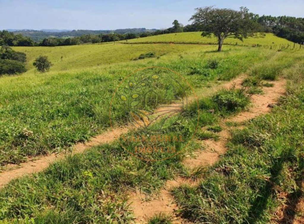 Fazenda à venda com 3 quartos, 242m² - Foto 8