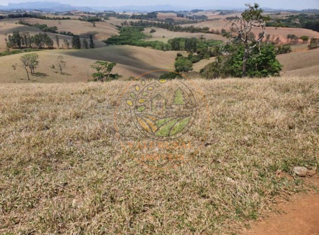 Fazenda à venda com 3 quartos, 242m² - Foto 7