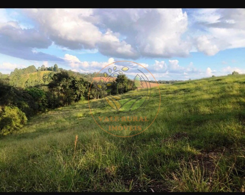 Fazenda à venda com 5 quartos, 176m² - Foto 5