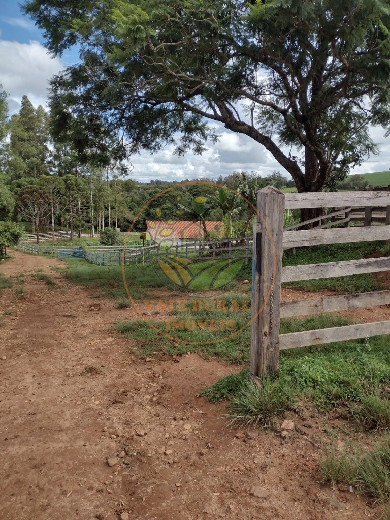 Fazenda à venda com 3 quartos, 242m² - Foto 23