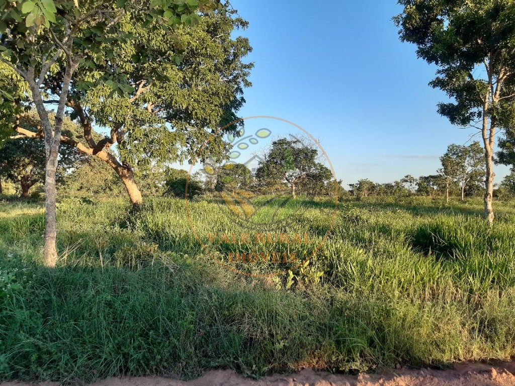 Fazenda à venda com 10 quartos, 3300m² - Foto 10