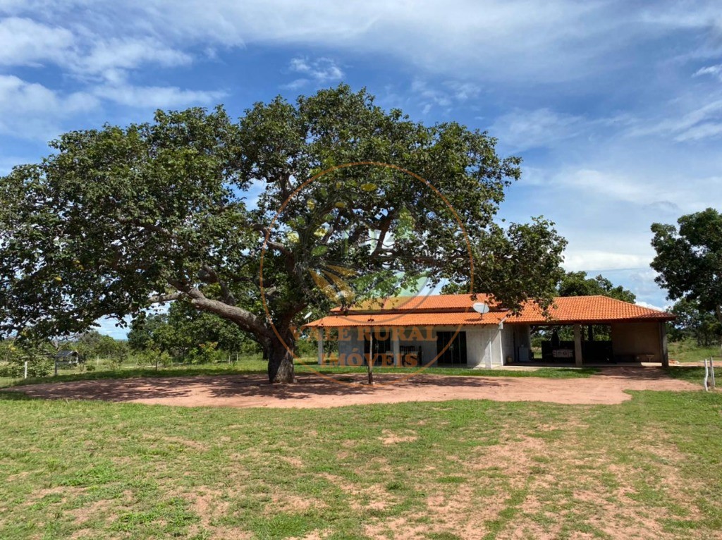 Fazenda à venda com 10 quartos, 3300m² - Foto 5