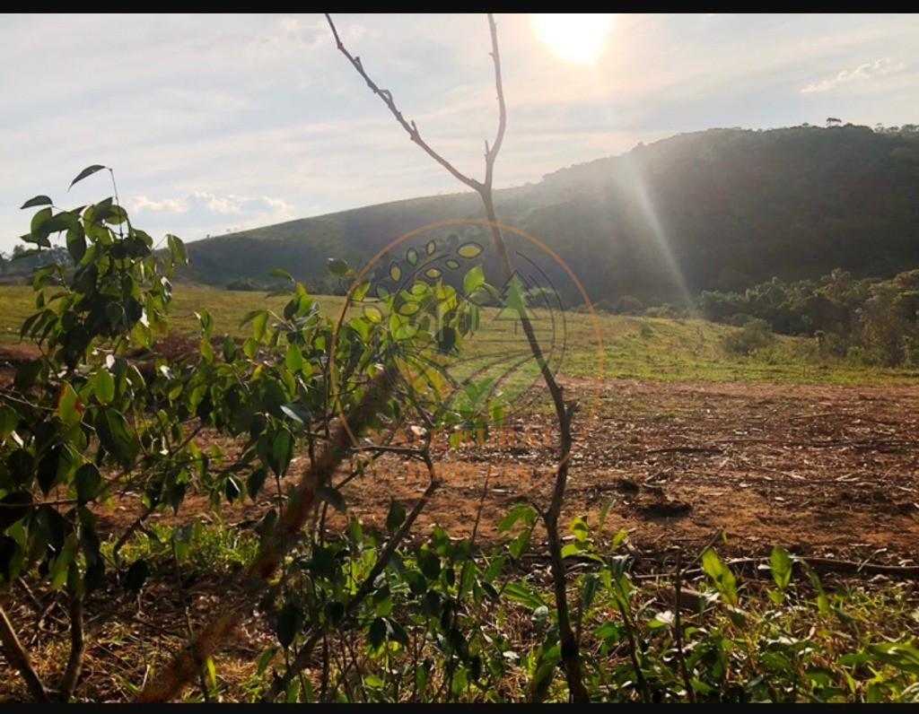 Fazenda à venda com 5 quartos, 176m² - Foto 14