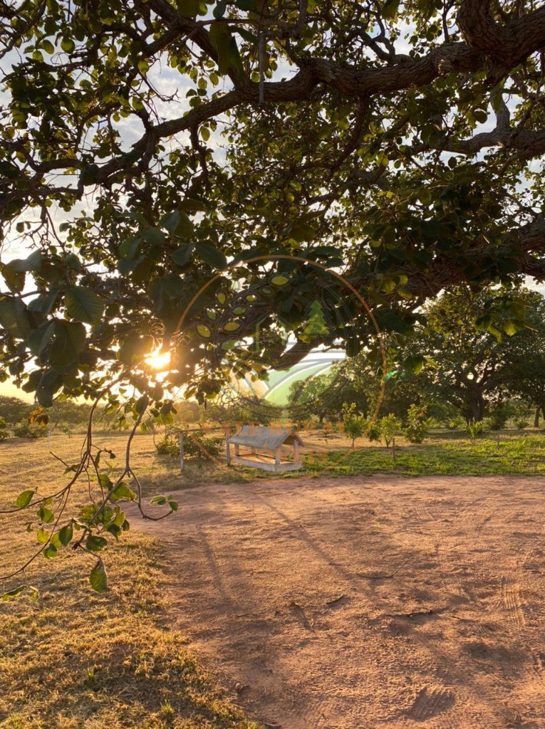 Fazenda à venda com 10 quartos, 3300m² - Foto 6