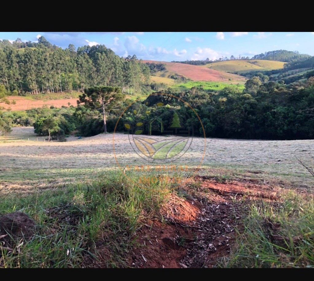 Fazenda à venda com 5 quartos, 176m² - Foto 17