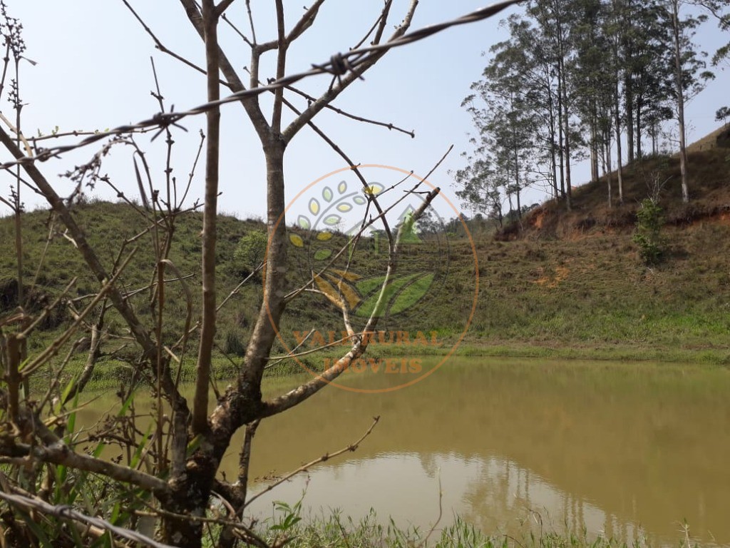 Haras e Área Rural Padrão à venda, 20000m² - Foto 5