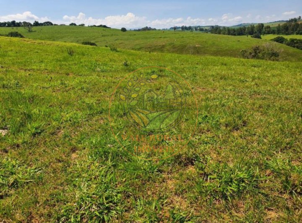 Fazenda à venda com 3 quartos, 242m² - Foto 3