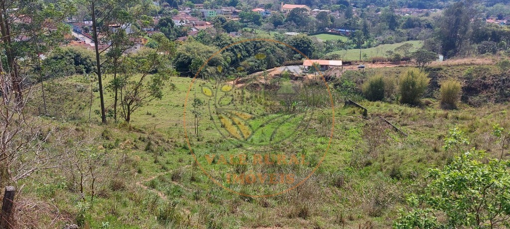 Haras e Área Rural Padrão à venda, 20000m² - Foto 4