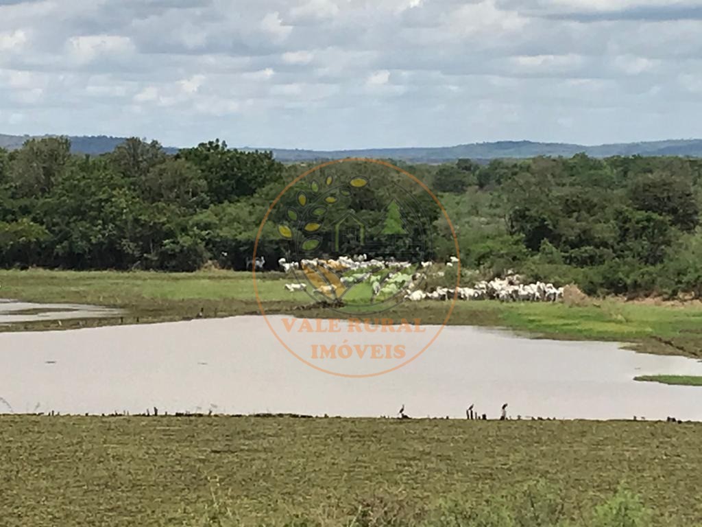 Fazenda à venda com 5 quartos, 242m² - Foto 3