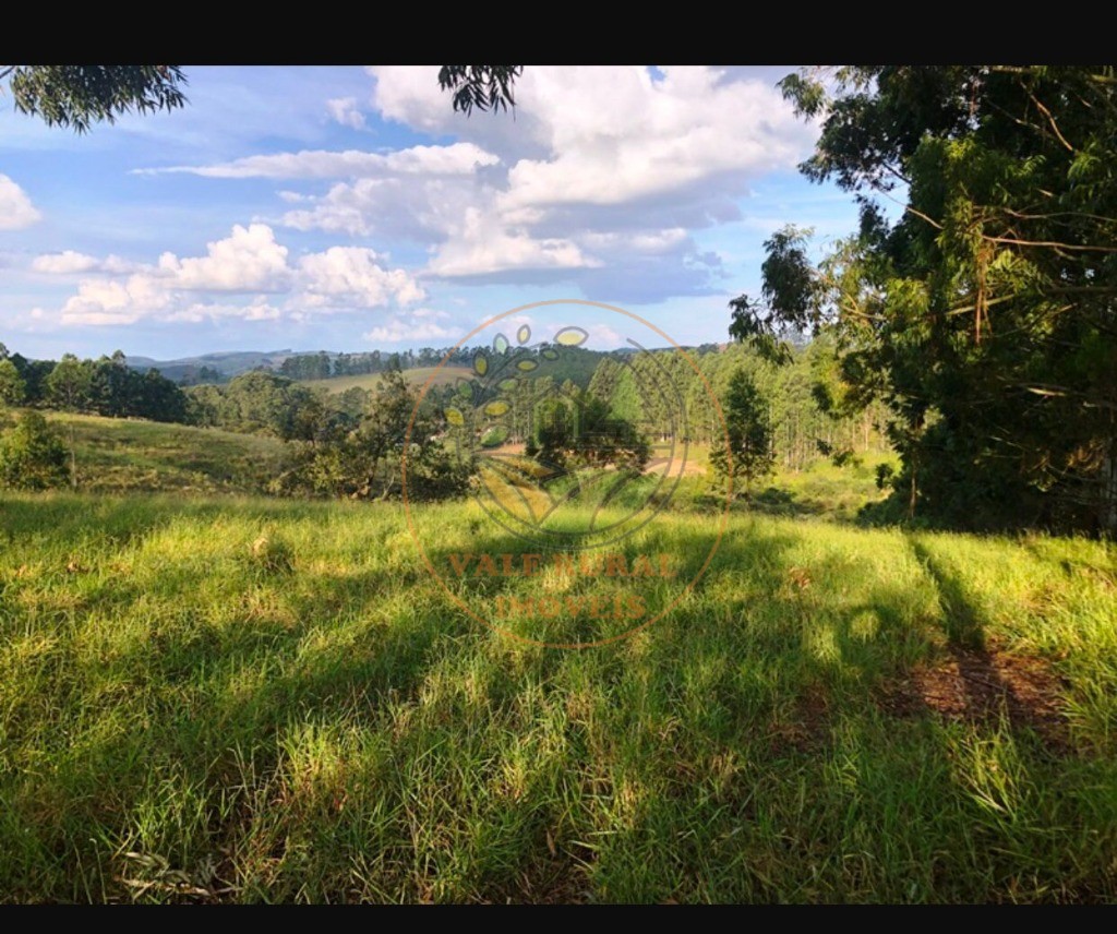 Fazenda à venda com 5 quartos, 176m² - Foto 10