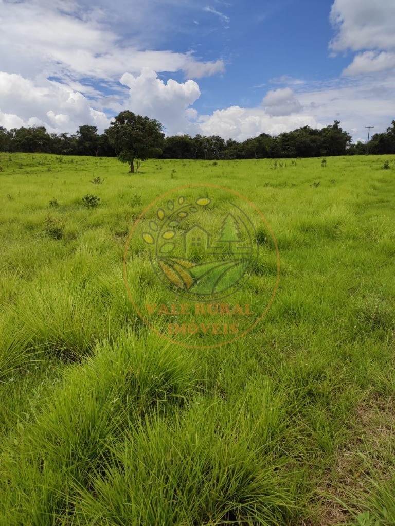 Fazenda à venda com 10 quartos, 3300m² - Foto 38