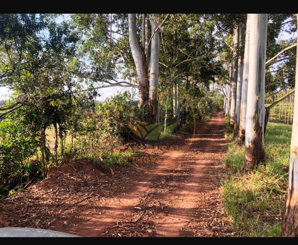 Fazenda à venda com 5 quartos, 176m² - Foto 12