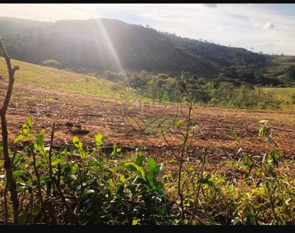 Fazenda à venda com 5 quartos, 176m² - Foto 2