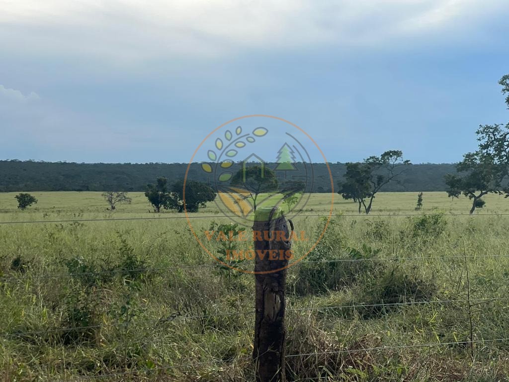 Fazenda à venda com 10 quartos, 3300m² - Foto 35