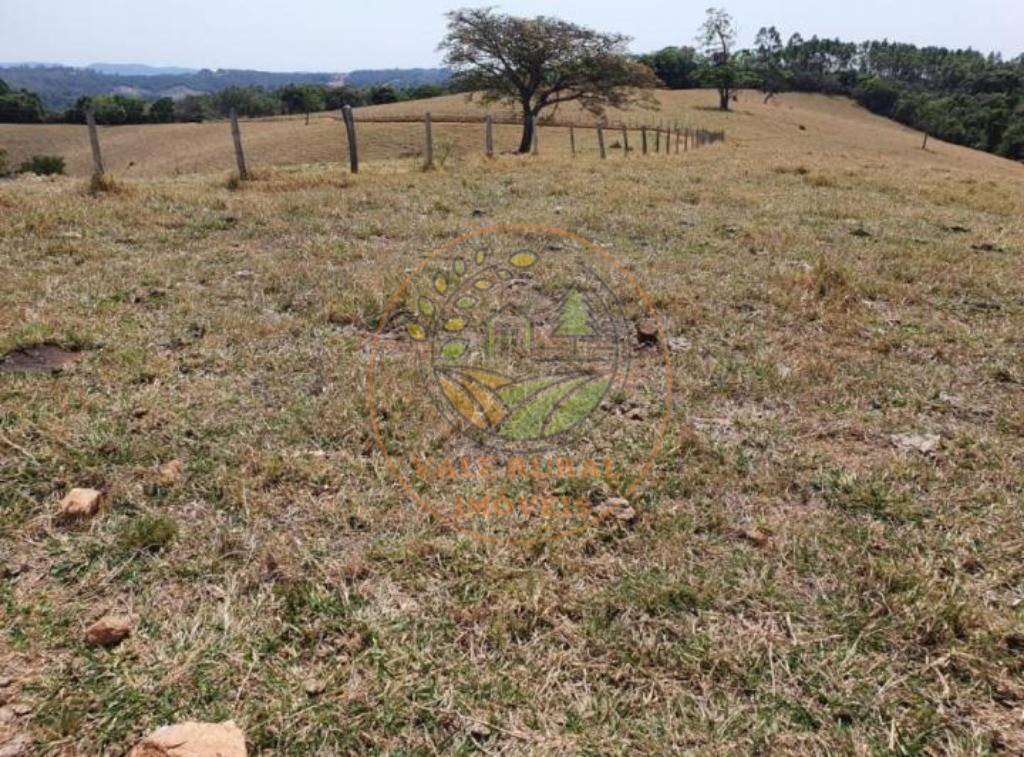 Fazenda à venda com 3 quartos, 242m² - Foto 10