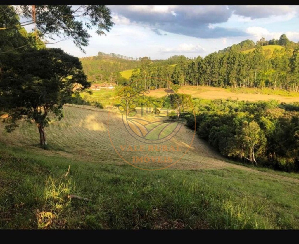 Fazenda à venda com 5 quartos, 176m² - Foto 4