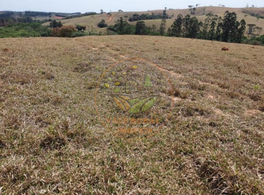 Fazenda à venda com 3 quartos, 242m² - Foto 17