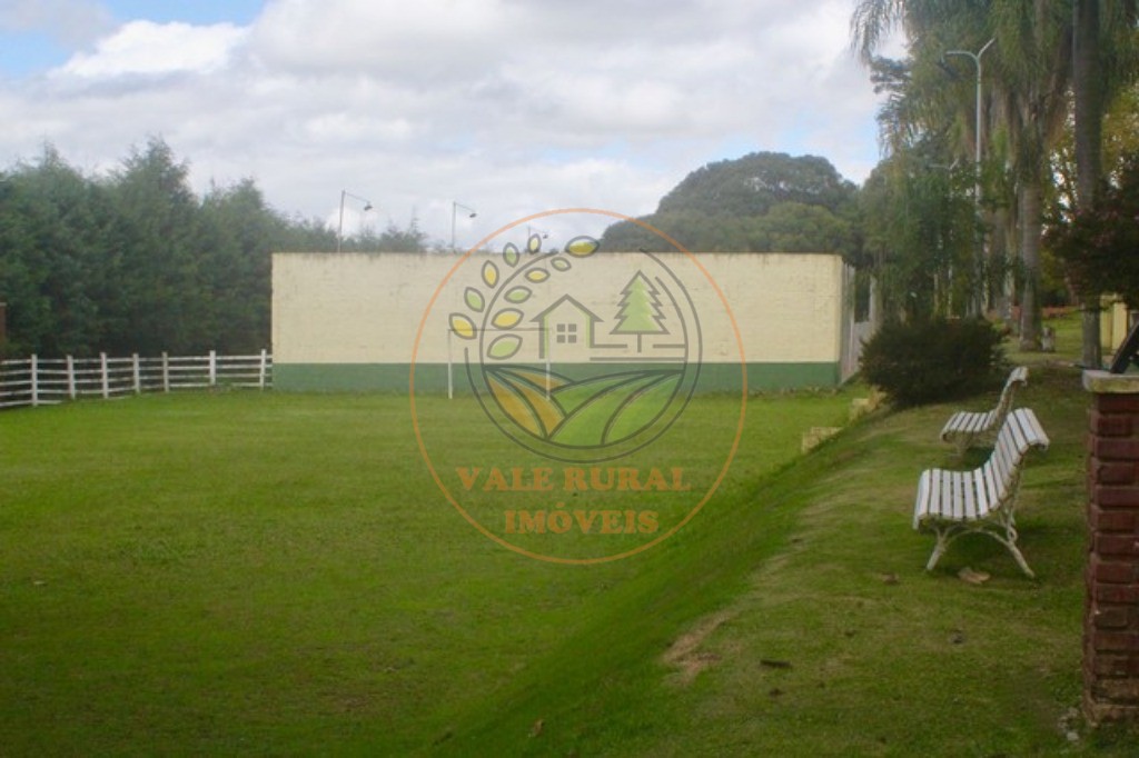 Haras e Área Rural Padrão à venda com 6 quartos, 84700m² - Foto 12