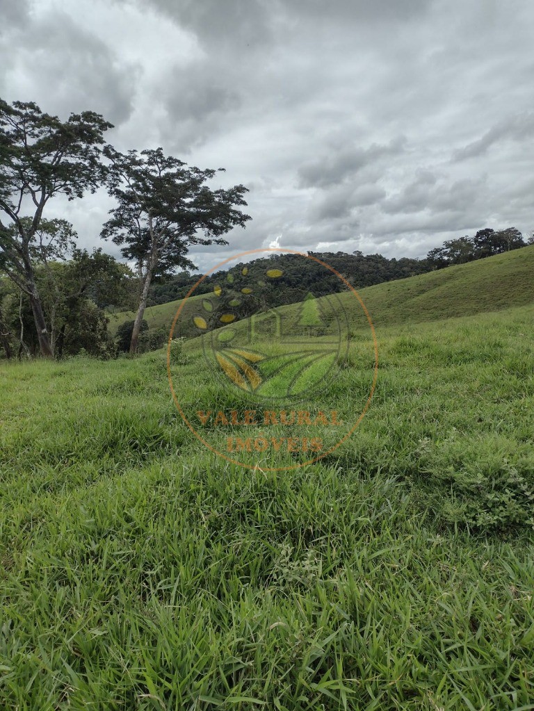 Fazenda à venda com 3 quartos, 242m² - Foto 50