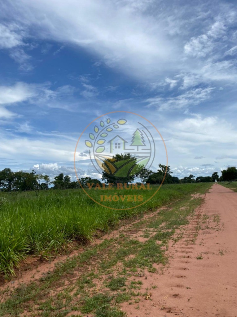 Fazenda à venda com 10 quartos, 3300m² - Foto 9