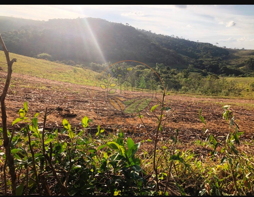 Fazenda à venda com 5 quartos, 176m² - Foto 13