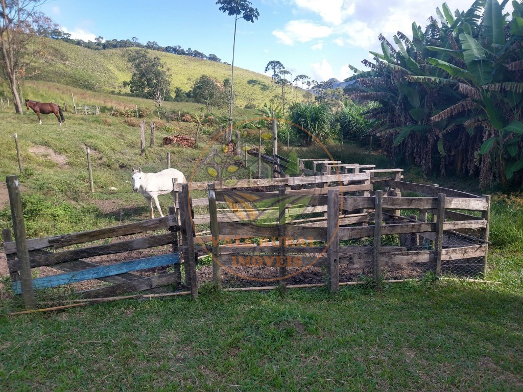 Sítio à venda com 3 quartos, 5m² - Foto 11