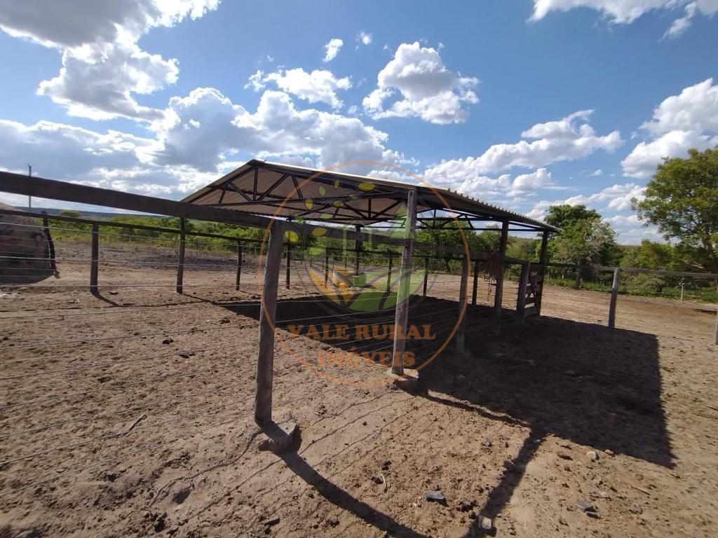 Fazenda à venda com 5 quartos, 800m² - Foto 3