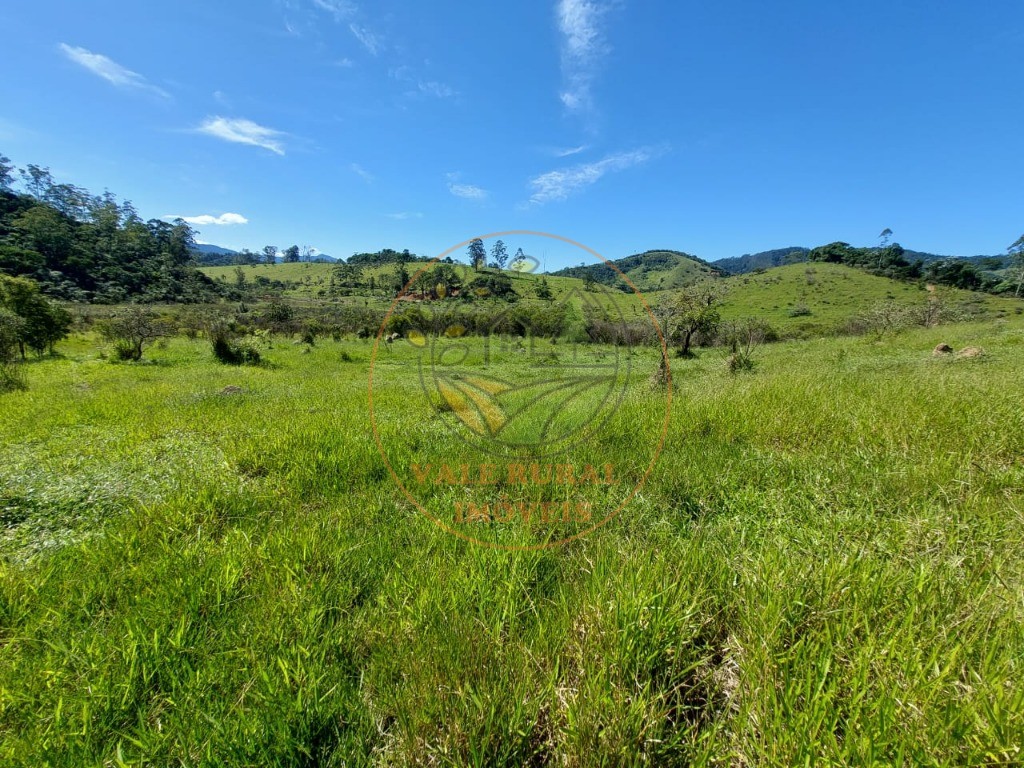 Haras e Área Rural Padrão à venda, 20000m² - Foto 9