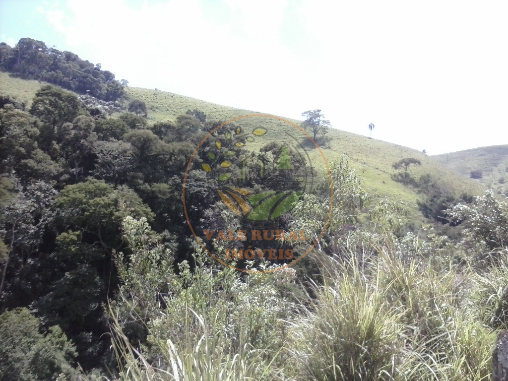 Fazenda à venda com 2 quartos, 40m² - Foto 17