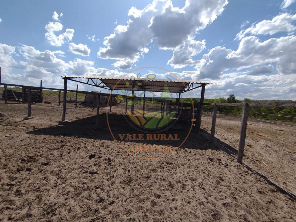 Fazenda à venda com 5 quartos, 800m² - Foto 10