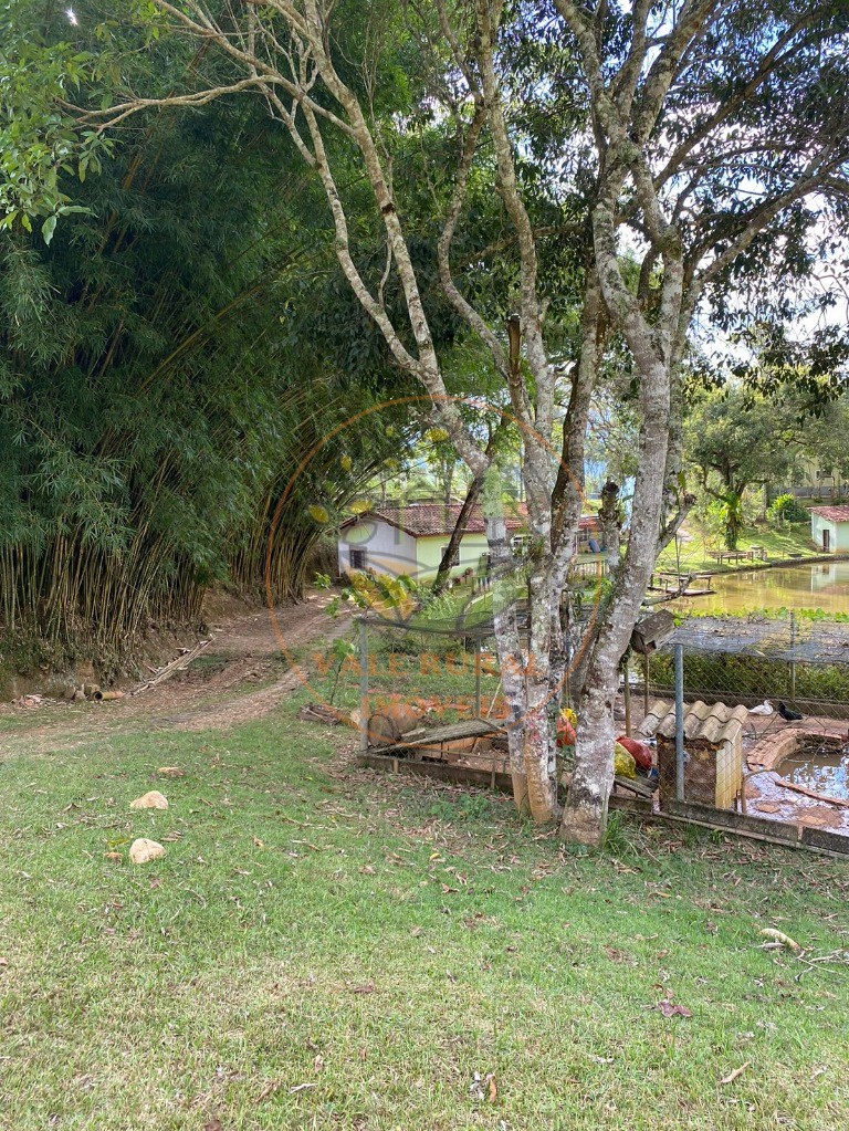 Chácara à venda com 2 quartos, 54000m² - Foto 7