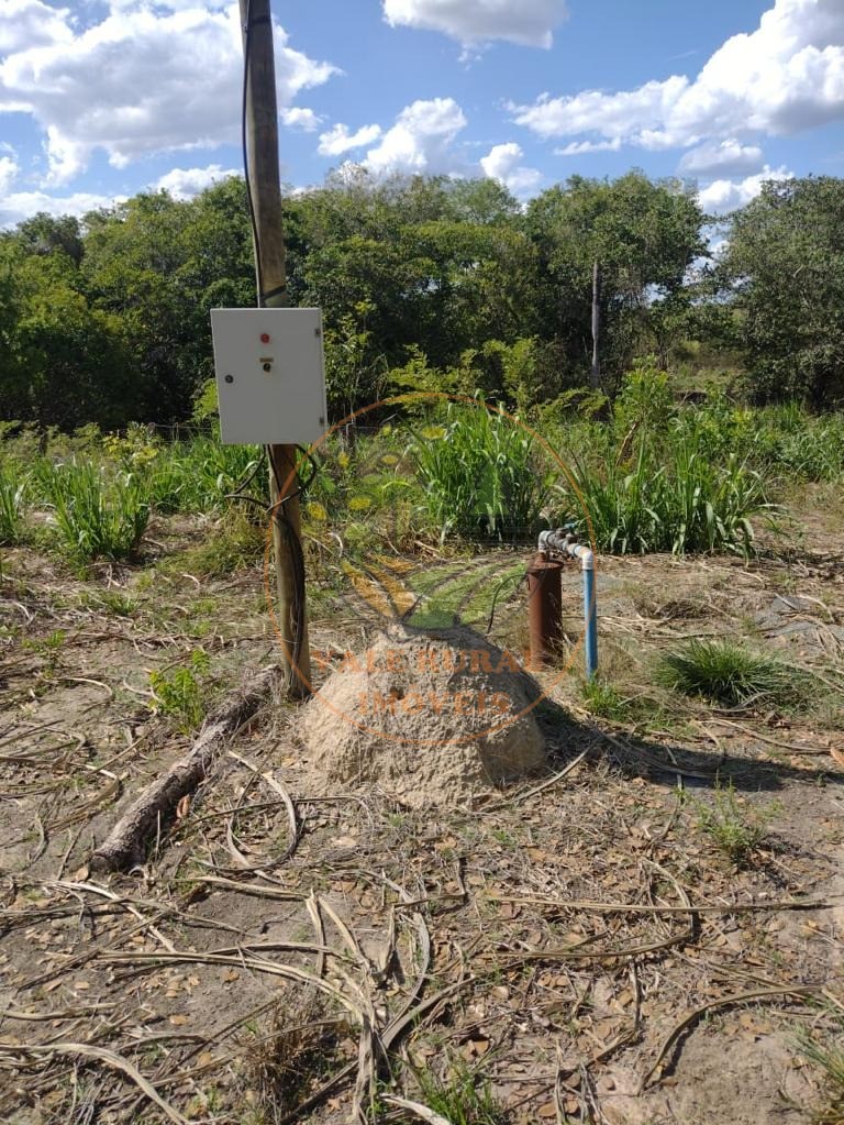 Fazenda à venda com 5 quartos, 800m² - Foto 4