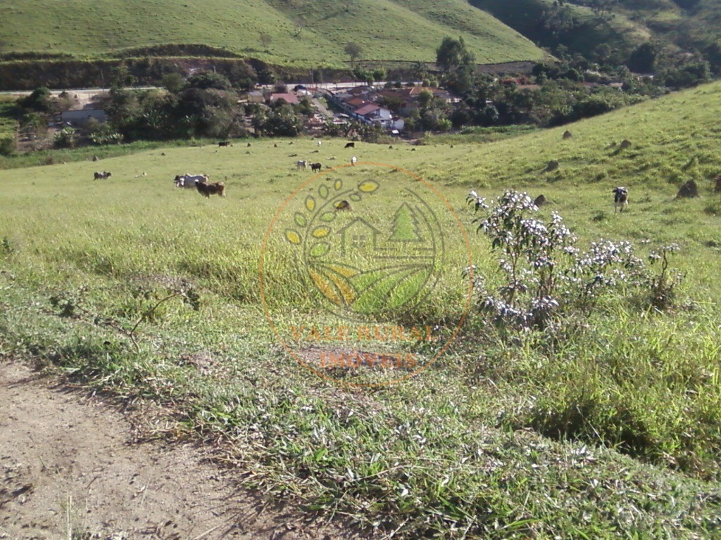 Fazenda à venda com 2 quartos, 54m² - Foto 12