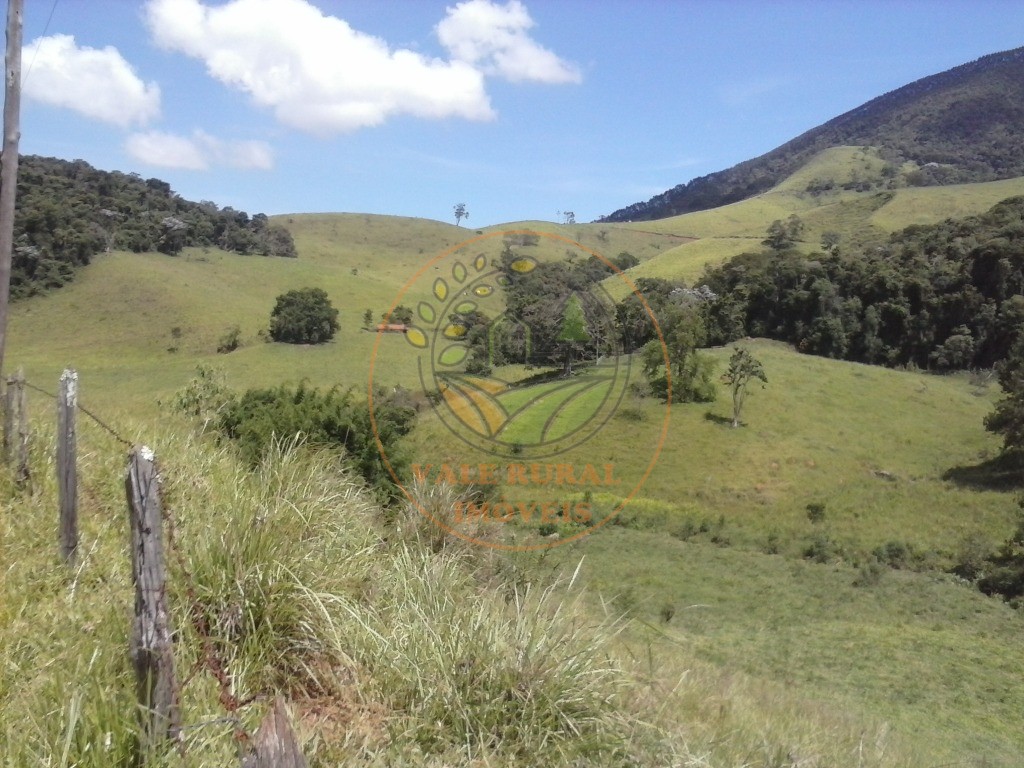 Fazenda à venda com 2 quartos, 40m² - Foto 15