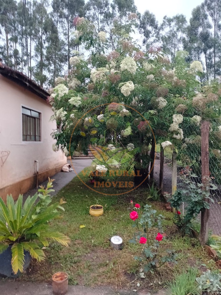 Chácara à venda com 2 quartos, 30000m² - Foto 4